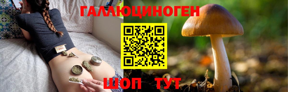 Галлюциногенные грибы мухоморы  Вход с VPN  Десногорск 